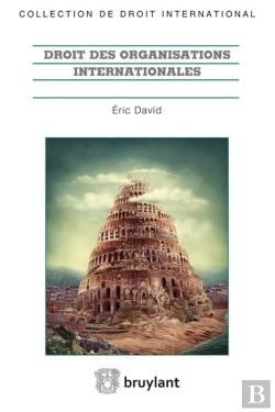 Bertrand.pt - Droit Des Organisations Internationales ; Acte Constitutif, Participation Des États, Actes Institutionnels, Personnalité Juridique Et Privilèges Et Immunités