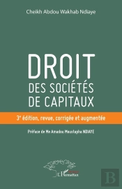 Droit Des Sociétés De Capitaux (3e Édition)