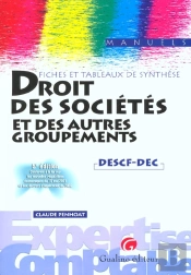 Droit Des Societes Et Des Autres Groupements ; Fiches Et Tableaux De Synthese ; 5e Edition