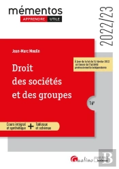 Droit Des Societes Et Des Groupes, 16eme Edition - Un Cours Clair, Structure Et Accessible Pour L Et