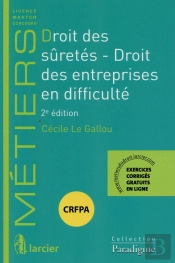 Droit Des Suretes - Droit Des Entreprises En Faillite, 2eme Edition