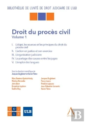 Droit Du Procès Civil Tome 1