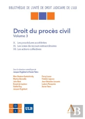 Droit Du Procès Civil Tome 3 : X. Les Procédures Accélérées, Xi. Les Voies De Recours Extraordinaires, Xii. Les Actions Collectives