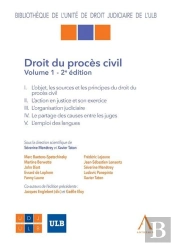 Droit Du Procès Civil - Vol I (2e Édition)