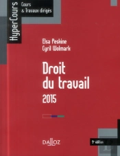 Droit Du Travail 2015 ; 9e Édition