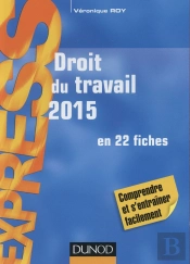 Droit Du Travail 2015 ; En 22 Fiches (19e Édition)