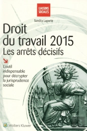 Droit Du Travail 2015 : Les Arrets Decisifs