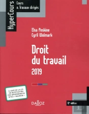 Droit Du Travail 2018 - 12e Ed.