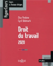 Droit Du Travail 2019 - 13e Ed.