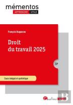 Droit Du Travail 2025 : Cours Intégral Et Synthétique (20e Édition)
