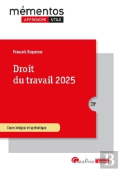 Droit Du Travail 2025 : Cours Intégral Et Synthétique (20e Édition)