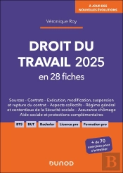 Droit Du Travail 2025 En 28 Fiches (7e Édition)