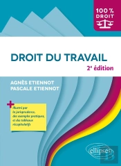 Droit Du Travail (2e Édition)