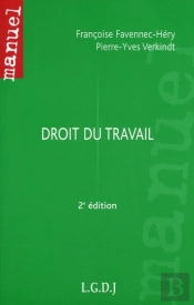 Droit Du Travail (2e Édition)