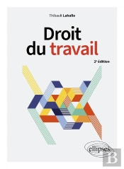 Droit Du Travail (2e Édition)