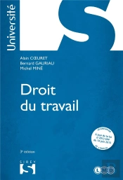 Droit Du Travail (3e Édition)