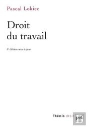 Droit Du Travail (3e Édition)