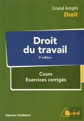 Droit Du Travail (3e Édition)