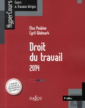 Droit Du Travail (8e Édition)