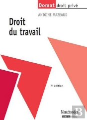 Droit Du Travail, 8eme Edition