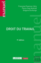 Droit Du Travail (9e Édition)