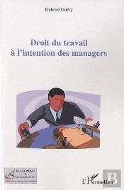 Droit Du Travail À L'Intention Des Managers