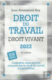 Droit Du Travail Droit Vivant 2022 - Connaitre, Mais Surtout Comprendre Le Droit Du Travail D'Aujour