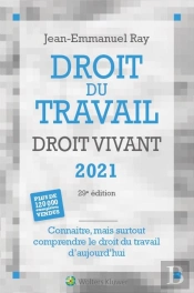 Droit Du Travail Droit Vivant ; Connaitre, Mais Surtout Comprendre Le Droit Du Travail D'Aujourd'Hui (Édition 2021)