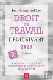 Droit Du Travail, Droit Vivant : Connaître, Mais Surtout Comprendre Le Droit Du Travail D'Aujourd'Hui (Édition 2025)