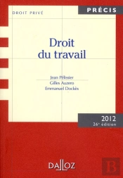 Droit Du Travail (Édition 2011)