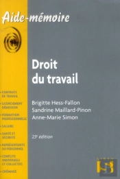 Droit Du Travail (Édition 2013)