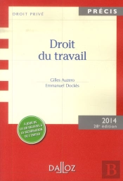 Droit Du Travail (Édition 2014)