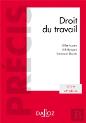 Droit Du Travail (Édition 2019)