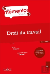 Droit Du Travail (Édition 2020)