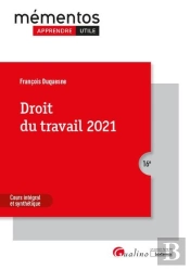 Droit Du Travail (Édition 2021)
