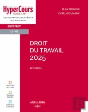 Droit Du Travail (Édition 2025)