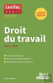 Droit Du Travail (Édition 2026)