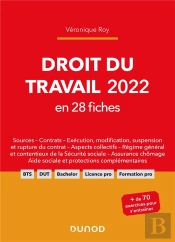 Droit Du Travail En 28 Fiches (Édition 2022)