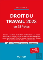 Droit Du Travail En 28 Fiches (Édition 2023)