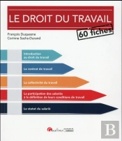 Droit Du Travail En 60 Fiches (Le)