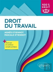 Droit Du Travail Illustre Par De Nombreux Exemples Pratiques