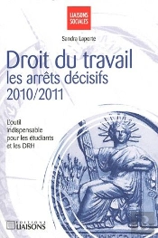 Droit Du Travail Les Arrets Decisifs 2010 2011