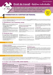 Droit Du Travail ; Relations Individuelles (2e Édition)