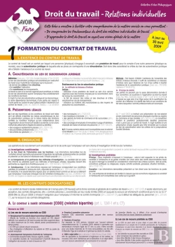 Bertrand.pt - Droit Du Travail ; Relations Individuelles (2e Édition)
