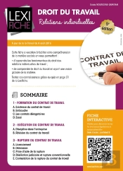 Droit Du Travail, Relations Individuelles