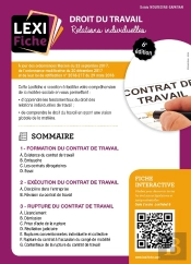 Droit Du Travail, Relations Individuelles