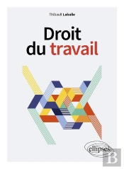 Droit Du Travail