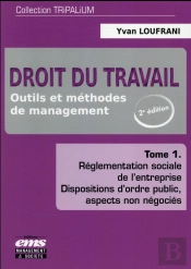 Droit Du Travail  Tome 1 - 2e Edition