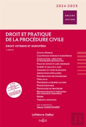 Droit Et Pratique De La Procédure Civile : Droit Interne Et Européen (Édition 2024-2025)