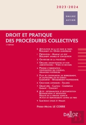 Droit Et Pratique Des Procedures Collectives 2023/2024. 12e Ed.